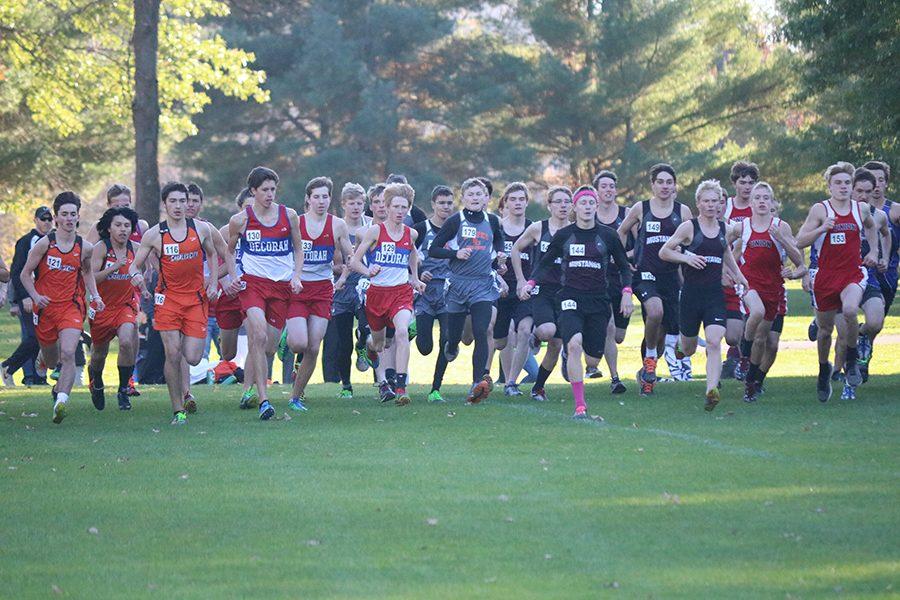 The boys cross country team takes off at the beginning of the race. 