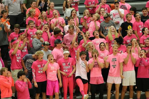 Supporting the volleyball girls, the crowd cheers them on while wearing pink.