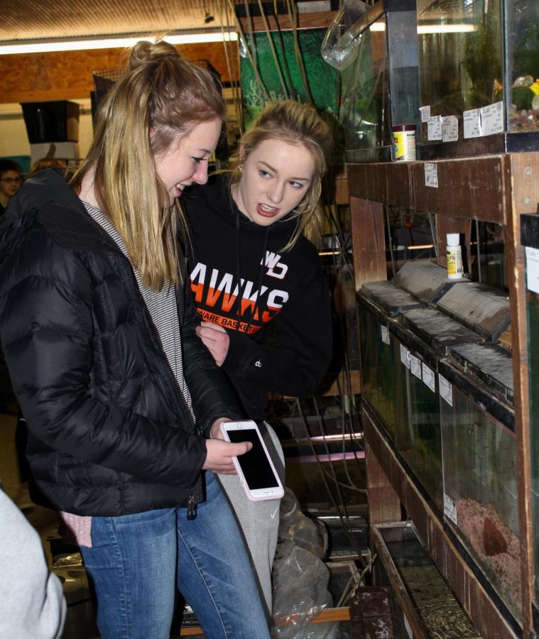 Juniors Macy and Myla Loecke pick out fish for their Aquaculture tank.