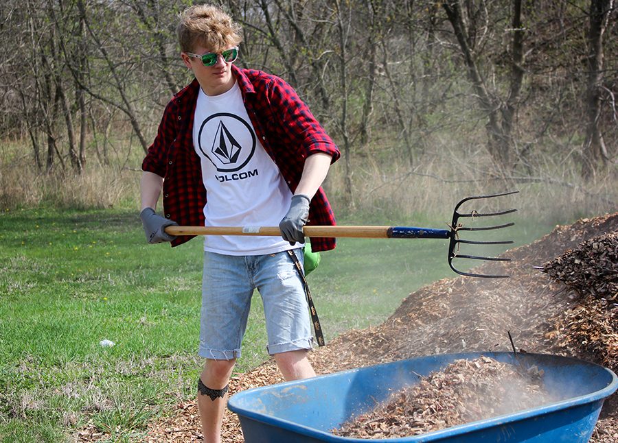 Senior Ben Litterer moves mulch into a wheel barrel for easy transport.