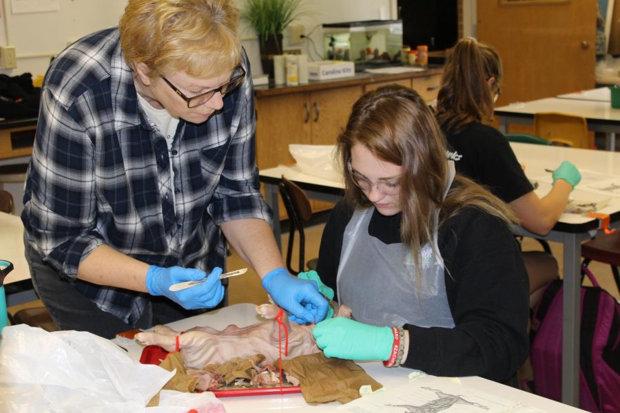 Anatomy and Physiology teacher Joan Salow shows senior Christine Boeckenstedt where the trachea and larynx are located. 