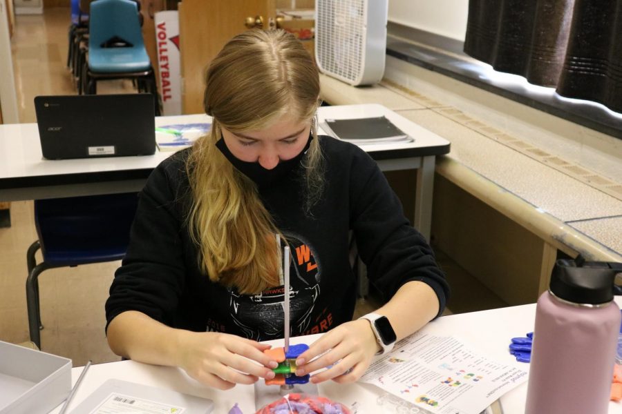 Lexi Loesche (10) recreates a DNA strand in her third hour Biology class.