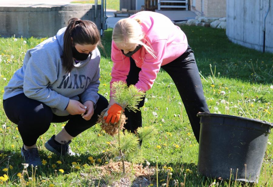 Hallie Wenger (12) and Jadyn Werner (12) plant trees at the water treatment plant.