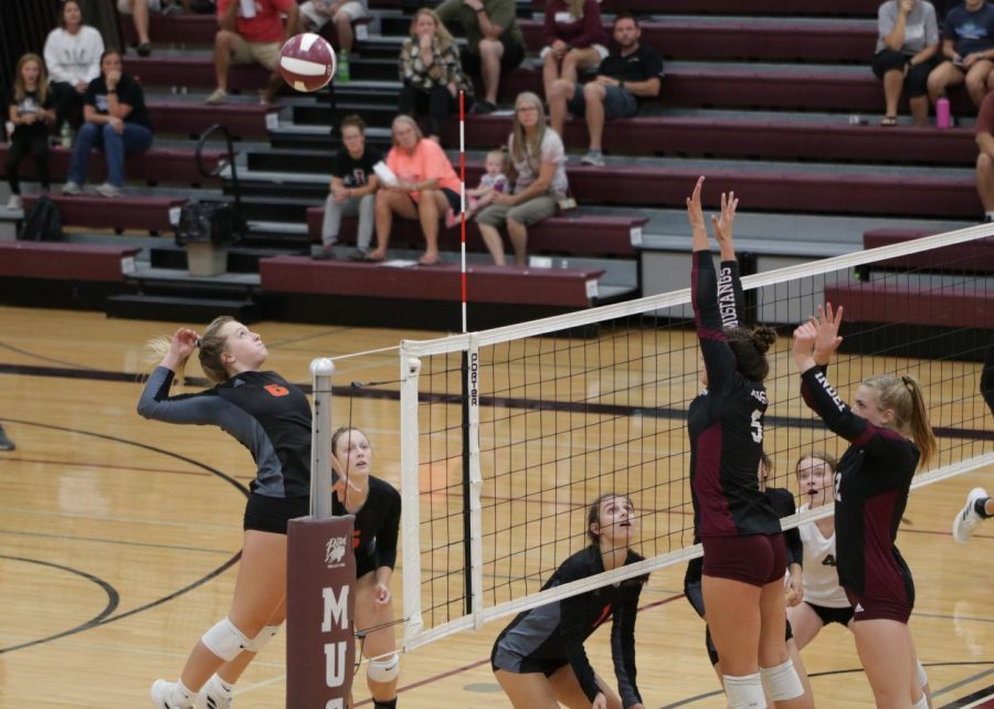 Against Independence, junior Gracie Lynch leaps above the net to hit the ball. The Hawks brought home the victory and swept the Mustangs in three sets on September 20. 