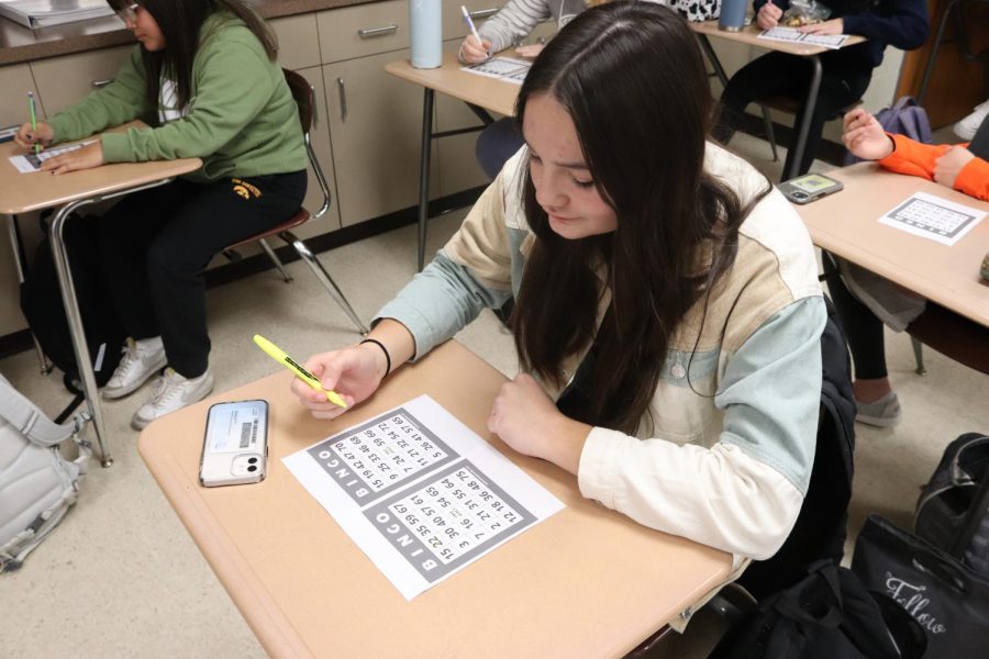 Sophomore Andrea Wubbena attempts winning with two bingo sheets.
