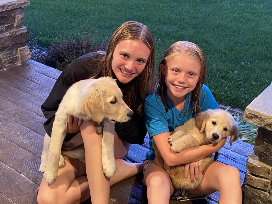 Maddie Hoeger and Ellie Hoeger, her little sister, hold Hoegers dogs when they were young. 