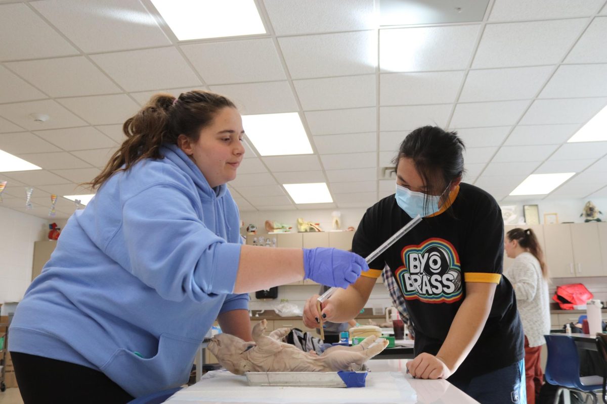 Junior Aarebella Haynes and senior Kody Tran work together to dissect the pig for their anatomy class. 