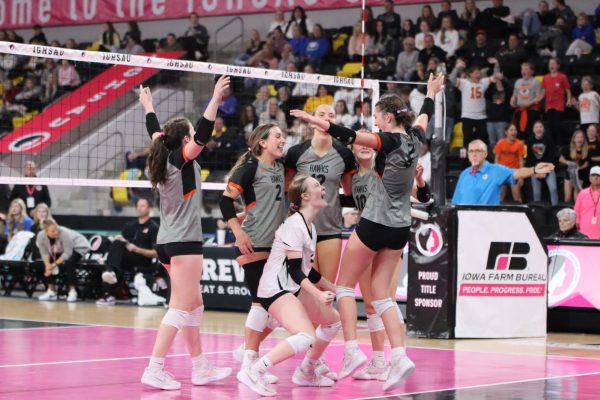 The Hawks celebrate after Brooke Krogmann (12) scores the winning point over Davenport Assumption in the quarterfinals.