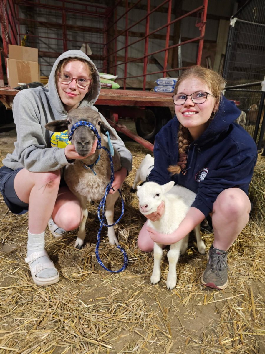 Abigail and Elizabeth holding their sheep Cheesecake and Alaska.
