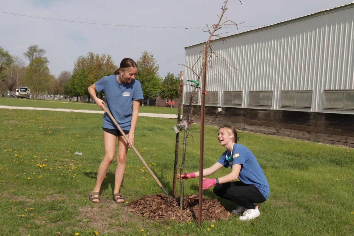 Planting a tree at the fairgrounds, Andrea Kann (12) and Lilianna Shappell (12) place mulch. "Senior Service Day brings me joy because I get to give back to the community," Shappell said. 