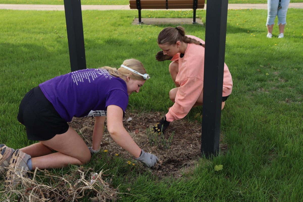 Sydney Shover (12) and Paige Woellert (12) pull weeds at Baum Park. "I enjoyed picking weeds knowing that I was doing it for a good cause," Shover said.